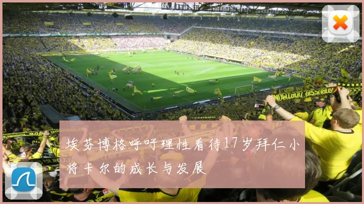 埃芬博格呼吁理性看待17岁拜仁小将卡尔的成长与发展