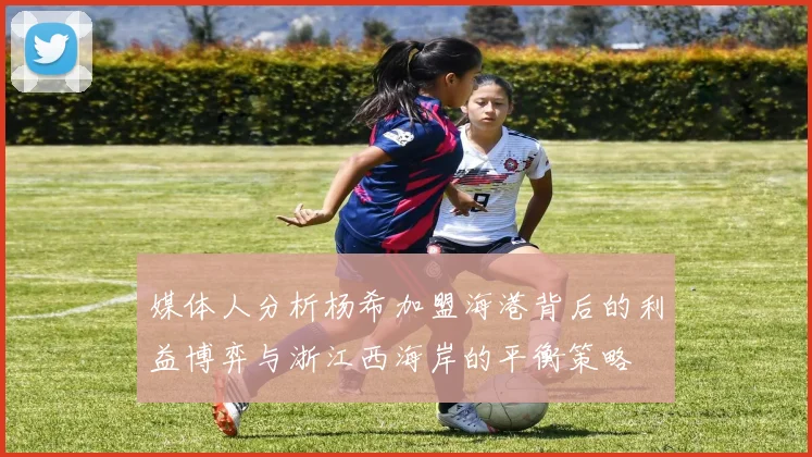 媒体人分析杨希加盟海港背后的利益博弈与浙江西海岸的平衡策略