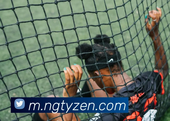 NG体育平台生态图